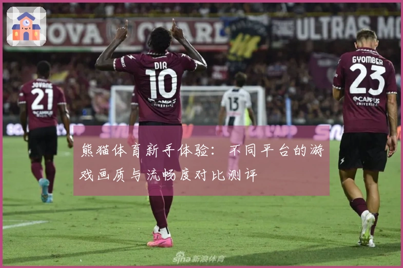 熊猫体育新手体验：不同平台的游戏画质与流畅度对比测评