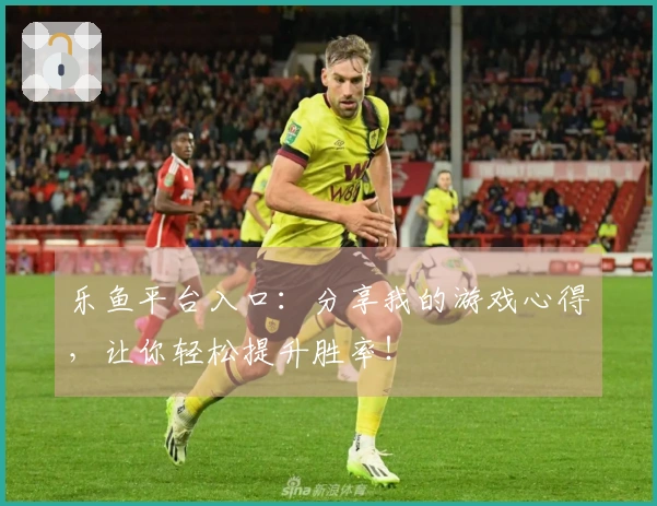 乐鱼平台入口：分享我的游戏心得，让你轻松提升胜率！