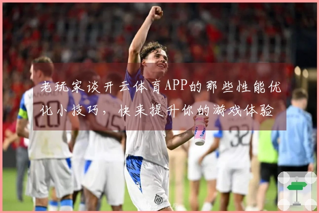 老玩家谈开云体育APP的那些性能优化小技巧，快来提升你的游戏体验！