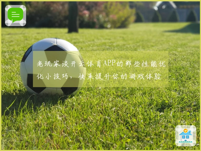 老玩家谈开云体育APP的那些性能优化小技巧，快来提升你的游戏体验！